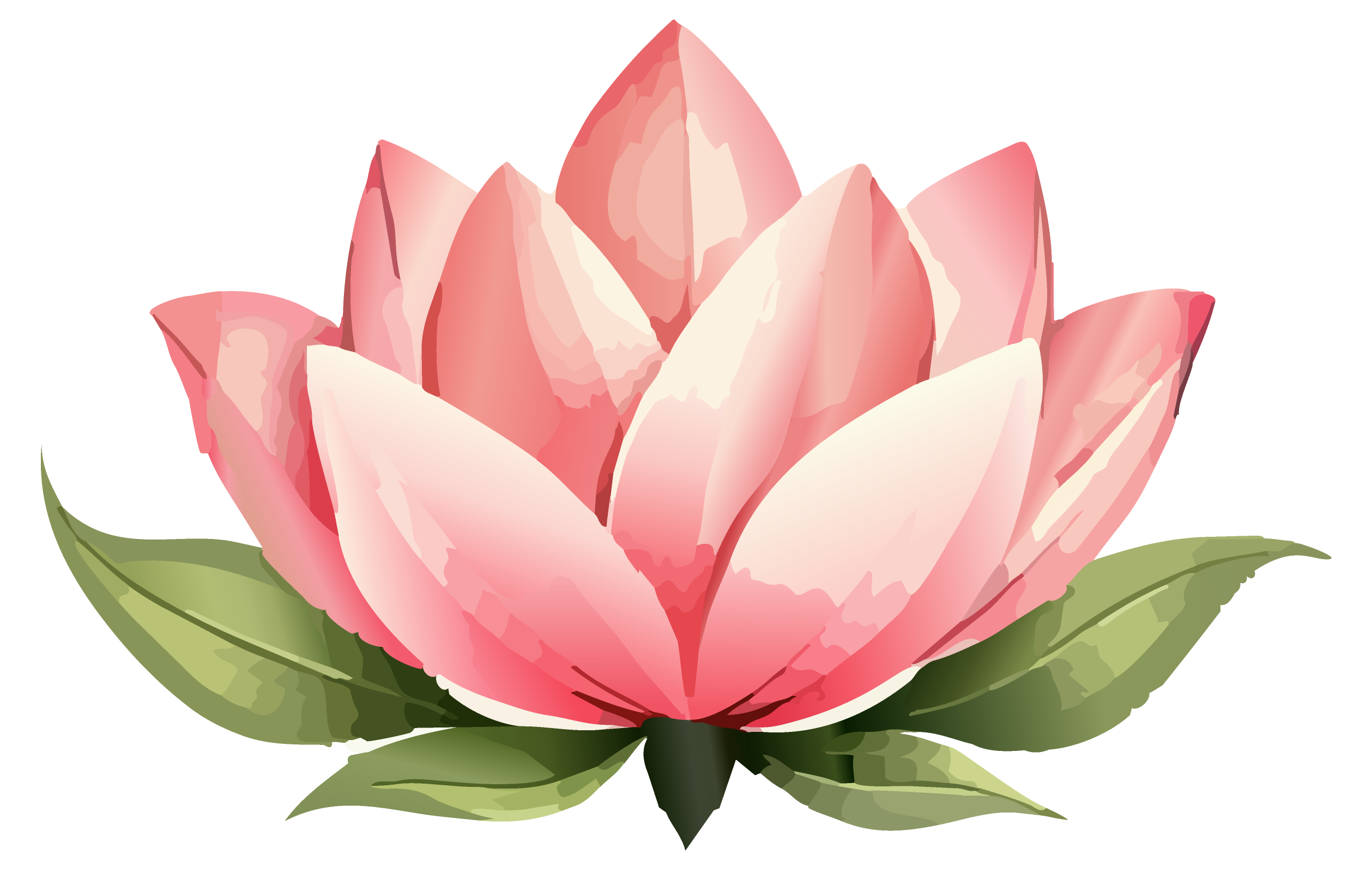 Hair Sanctuary & Wellness